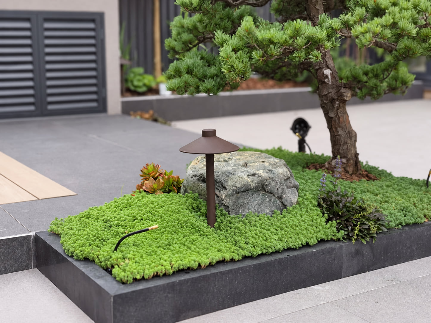 松树、景石与庭院灯细节